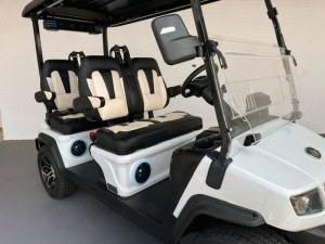 Meet the Evolution D5 Ranger Golf Cart LSV